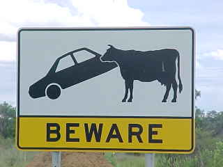 Sign Says: Beware and has a picture of a cow turning over a car
