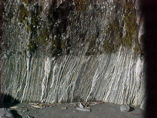 According to the sign at Fox Glacier; It takes about 150 years for the lichen to re-grow (New Zealand, The Travel Addicts, South Island)