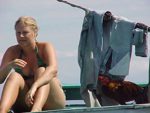 Girl and chicken on a boat that accompanied us to Komodo (Indonesia, The Travel Addicts)