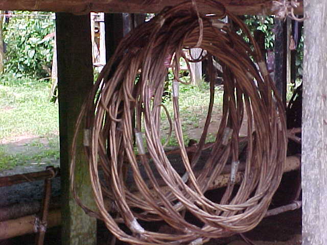 Rattan ladder : Used to climb to the top of the caves (Malaysia, The Travel Addicts)