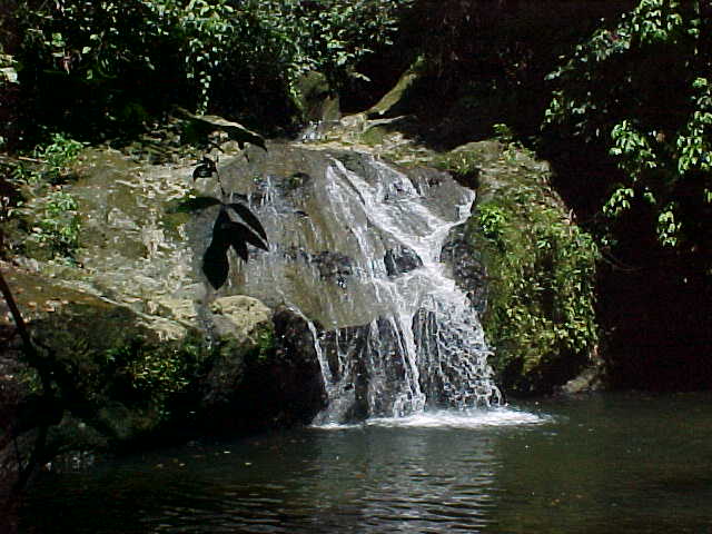The "jacuzzi pool" : We went swimming under the waterfall here \  (Malaysia, The Travel Addicts)