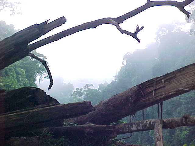 Orang lookout point : The mist rises just before daybreak (Malaysia, The Travel Addicts)