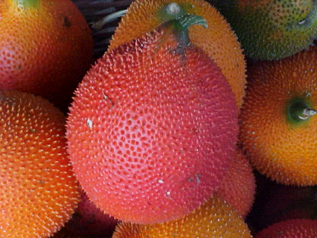 Fruit used for dye (Vietnam, The Travel Addicts)