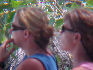 SGK and Cathy looking for Joe :  (The Travel Addicts, Thailand)