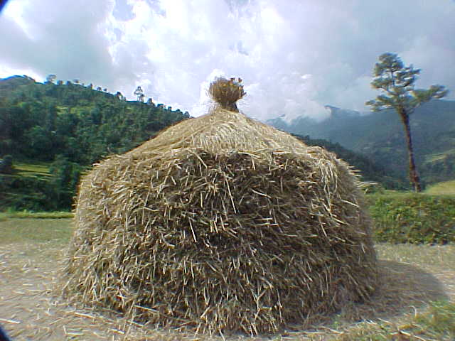 Haystack with flowers on top (Nepal, The Travel Addicts)