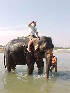 My turn to give the elephant a bath