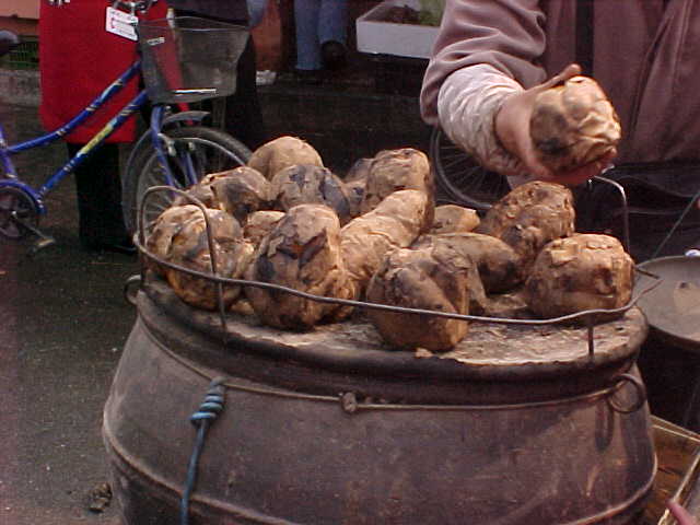 MVC-155S-Wierd root vegtables. , Chengdu, Sichuan Sheng, China (成都, 四川省, 中国) (The Travel Addicts, China)