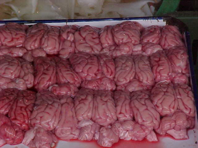MVC-157S-Brains. , Chengdu, Sichuan Sheng, China (成都, 四川省, 中国): Zombie food (The Travel Addicts, China)