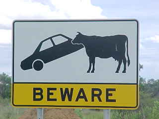 Sign Says: Beware and has a picture of a cow turning over a car
