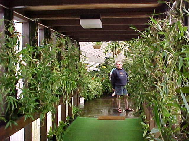  (New Zealand, North Island, The Travel Addicts)