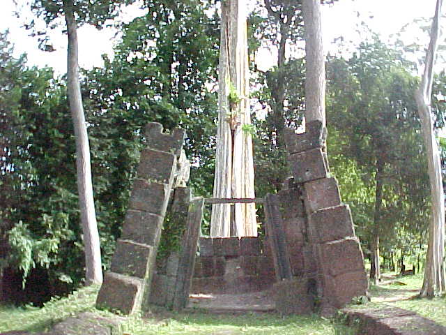 Tree growing out of a temple :  (Cambodia, The Travel Addicts)