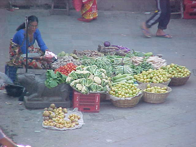 Fruit seller (Nepal, The Travel Addicts)