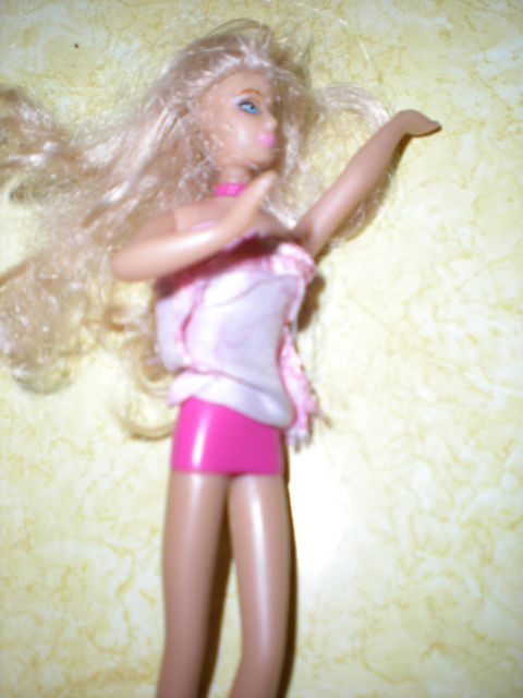 DSCN0011.jpg-Barbie gets to come too