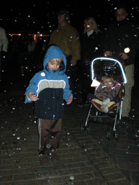 DSCN0104.jpg-Snow! : In Anaheim?  No, not really; just a bit of Disney magic; They let loose a storm of soap suds to look like snow. \ They time it to start at the end of the fireworks show.