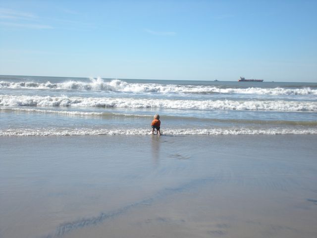 DSCN0310.jpg