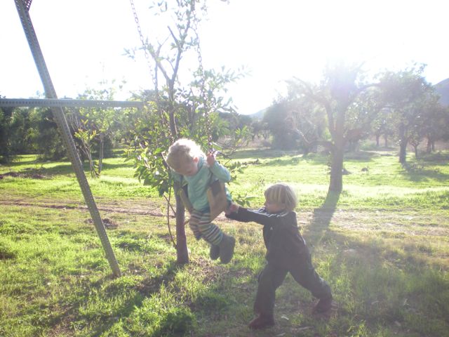 DSCN0321.jpg