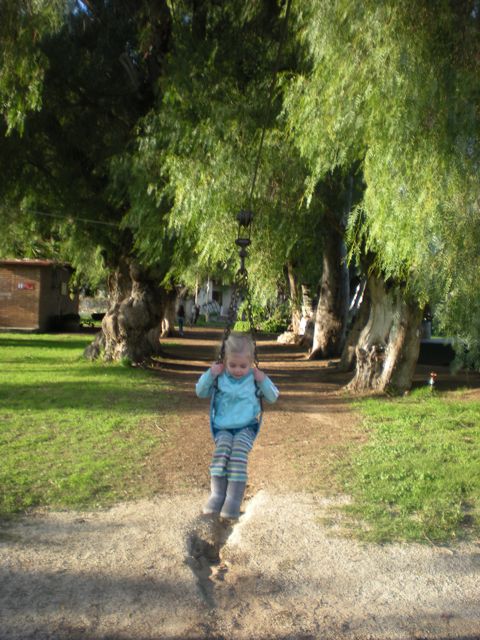 DSCN0323.jpg