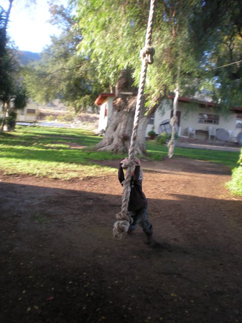 DSCN0324.jpg