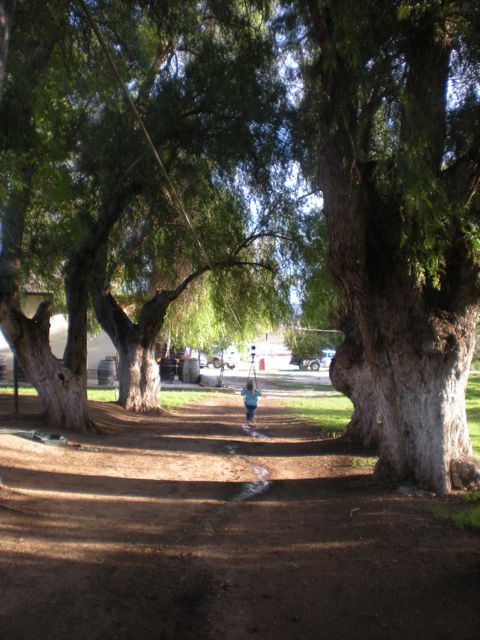 DSCN0325.jpg