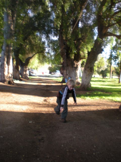 DSCN0329.jpg