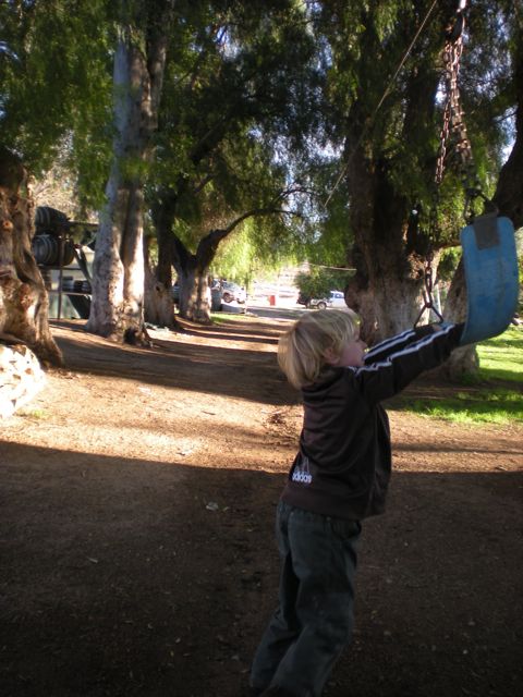DSCN0330.jpg