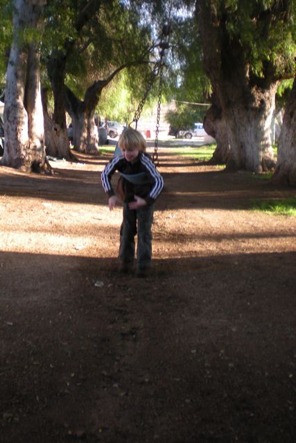 DSCN0331.jpg