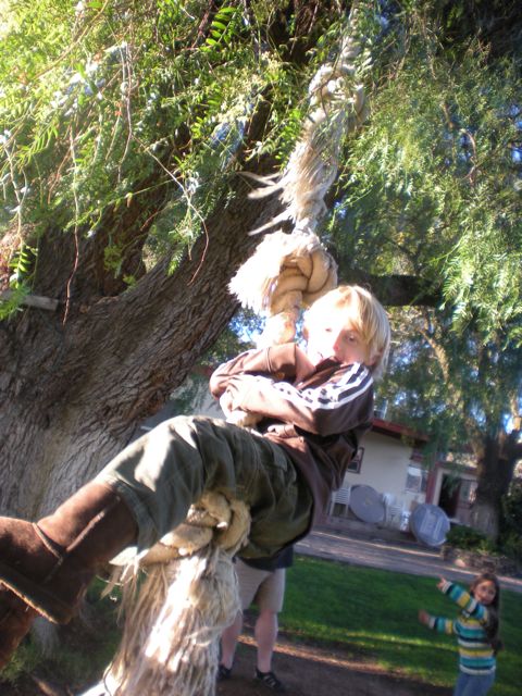 DSCN0341.jpg